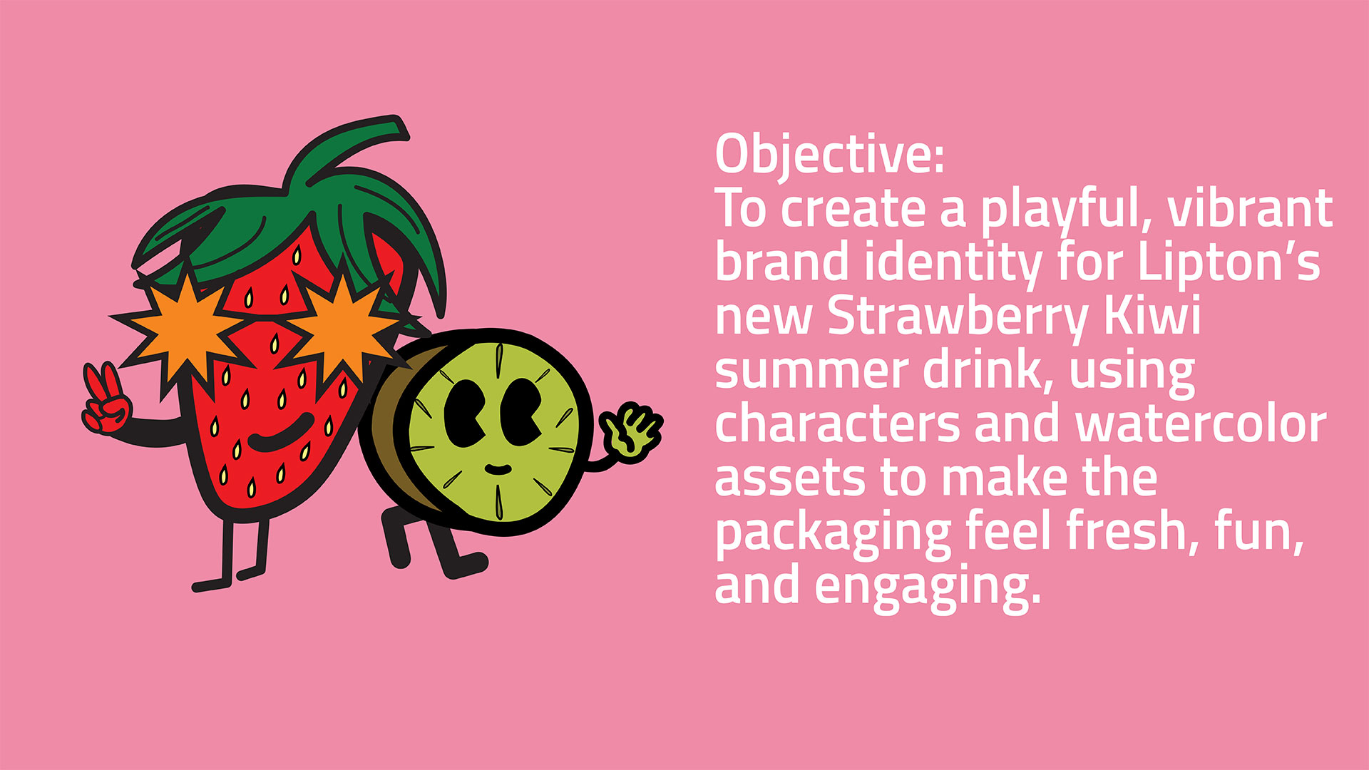  objective for project